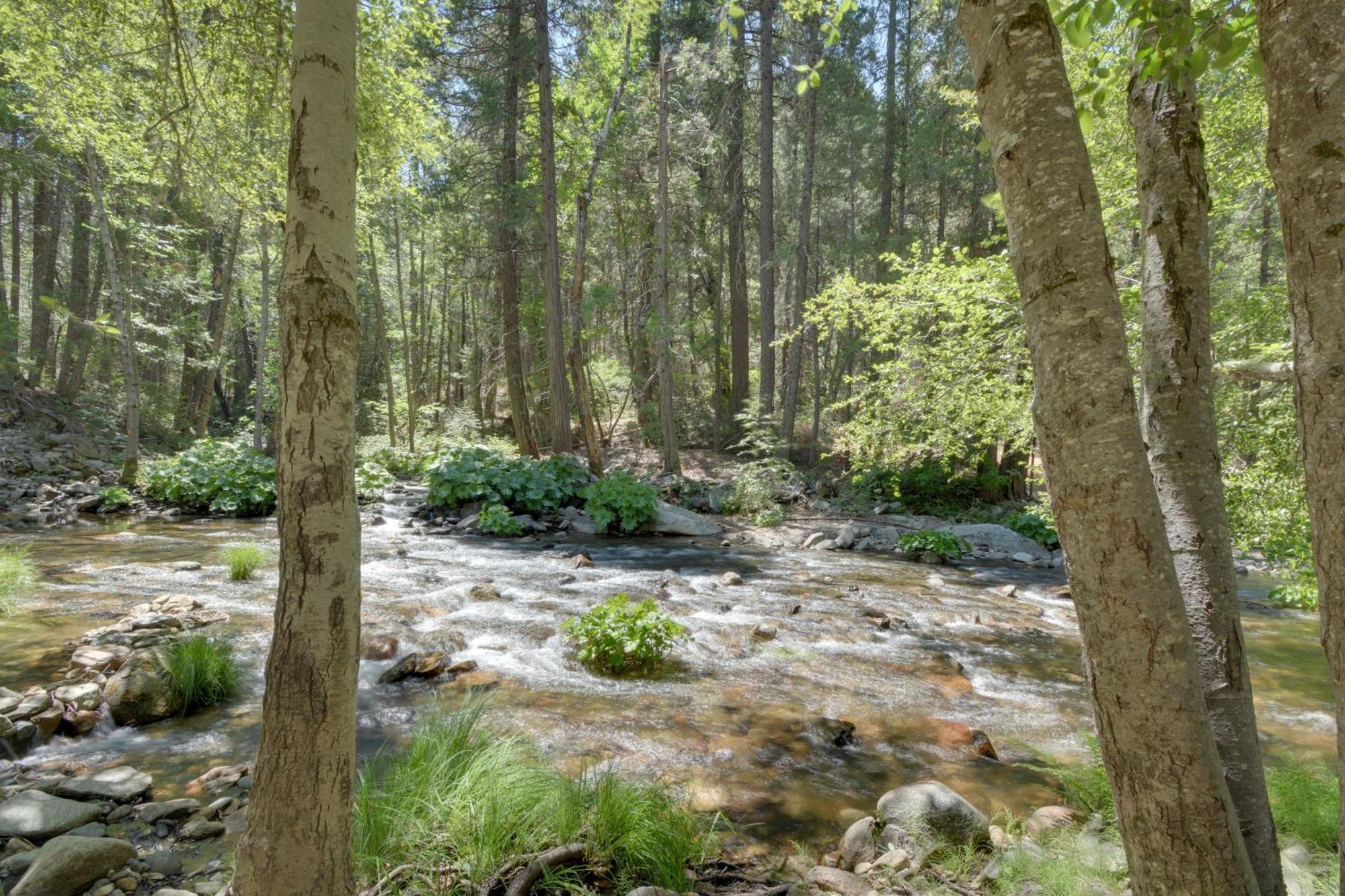 Riverfront Home Near Yosemite National Park! โกรฟแลนด์ ภายนอก รูปภาพ
